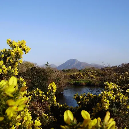Cloverfox Connemara Auberge de jeunesse *